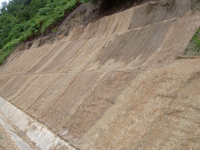 biodegradable-erosion-control-blanket-006l